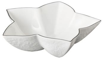 Star cup white inside - Raynaud